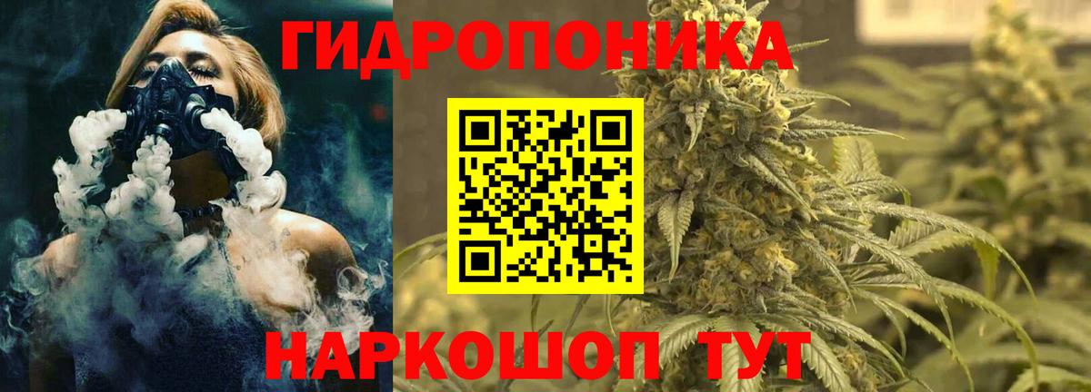 Каннабис гибрид  Вход с VPN  Чапаевск  Бошки марихуана сатива 